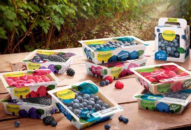 Driscolls's field group 