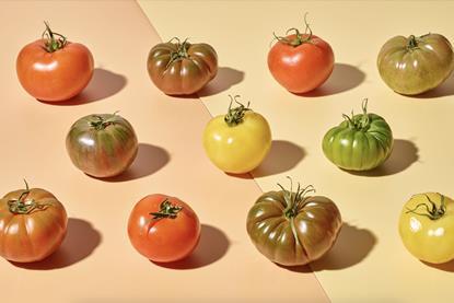 Fresh Direct Taste Like Summer tomatoes