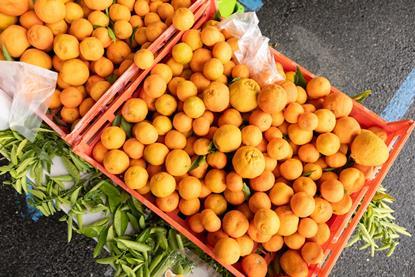 thumbnail_community_market-74