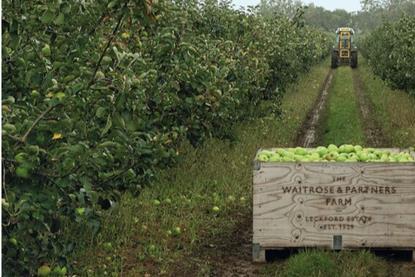 Sales of British apples are rising at Waitrose