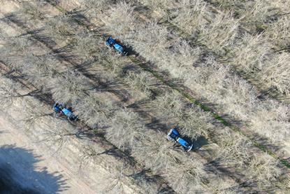 bluewhite tractors