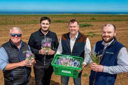 ESG Drysdale has expanded its asparagus supply in Asda