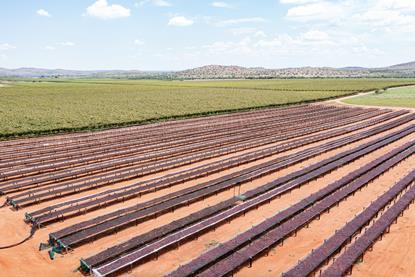 South Africa raisin production drying overhead view