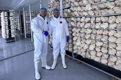 L-r: Elliot Webb, founder and CEO of Urban Farm-It and Oakland International’s strategic innovation manager Luke Attwell