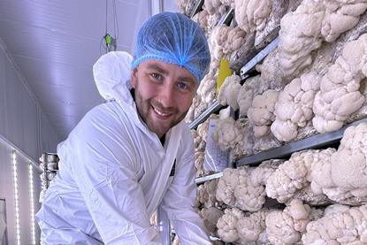 Urban Farm it mushrooms