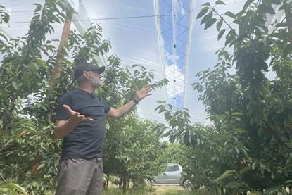 Andrew Wallace screenshot