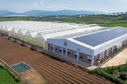 Rijk Zwaan new Vietnam facility 2025