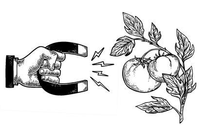 Elenovations no text