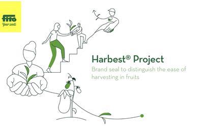 Semillas Fito Harbest