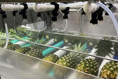 JBT Marel ProDOSE Pineapple Wax Dosing Machine