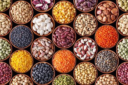 GEN peas beans AdobeStock_41953715