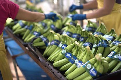 Fyffes bananas sorting