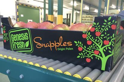 Genesis Fresh Snapples Poland apples in container