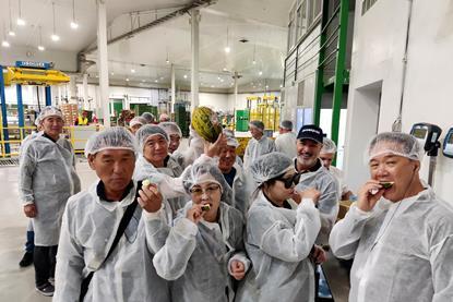 Murcia Korean melon visit