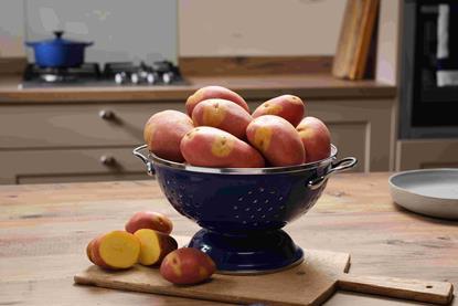 Nemo is well suited to roasting and cuts cooking time by a quarter