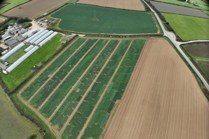 DJI_20251001150643_0002_D