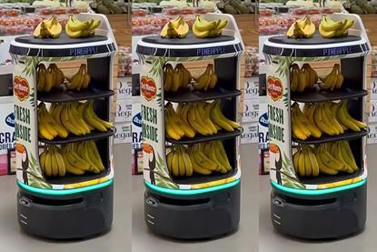 Del Monte Servi Plus