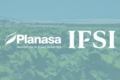 Planasa IFSI