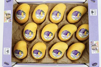 Eosta Peru case of Ataulfo organic mangoes