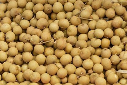 GEN Thai fruit longan background. Longan exotic fruit for sell in street market, Thailand, close up, top view