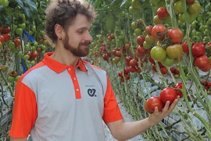 Julian Wolf Enza Zaden Fortitude