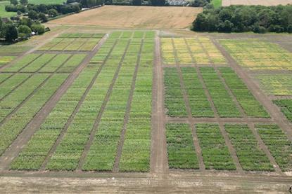 The new varieties have been widely trialled