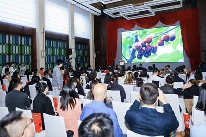 Chilean cherry documentary