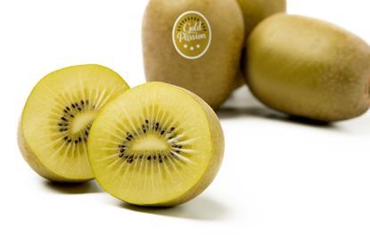Gold Passion kiwifruit A19