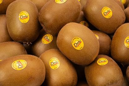 Dorì kiwifruit