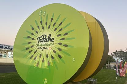 NZ Te Puke kiwifruit signs