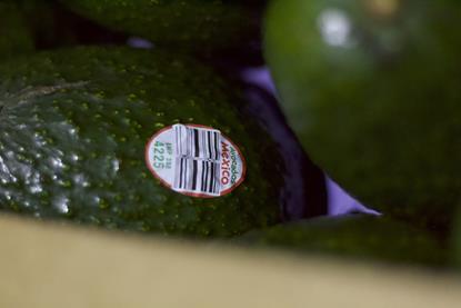 Mexican avos