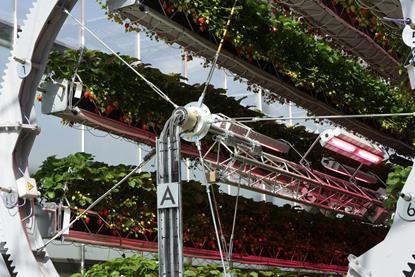 Dyson uses innovative growing technologies