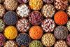 PGRO believes legumes have a bright future