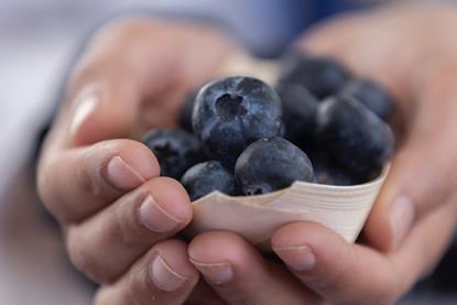 Sekoya Pop blueberries