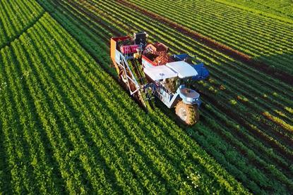 Harvest Moon Tasmania