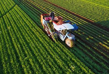 Harvest Moon Tasmania