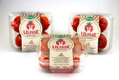 Ulisse tomatoes by Valfrutta Fresco