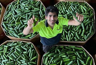 Funky Food founder Kamran Kasaei-Nejad