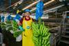 Social responsibility is a key focus for Fyffes