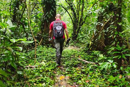 Corbana Cámara trampa Agroforestales 3