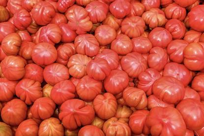 Spanish tomatoes Valencia market Adobe Stock