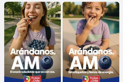 Chilean blueberry promotion in Argentina and Brazil