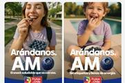 Chilean blueberry promotion in Argentina and Brazil