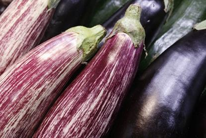 Almería: Preiseinbruch bei Auberginen und Schlangengurken