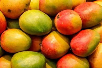 GEN mangoes AdobeStock_196999091.jpeg.crdownload