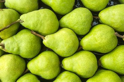 GEN pears AdobeStock_446147708