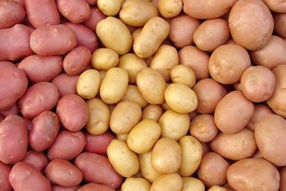 GEN potatoes AdobeStock_34718294